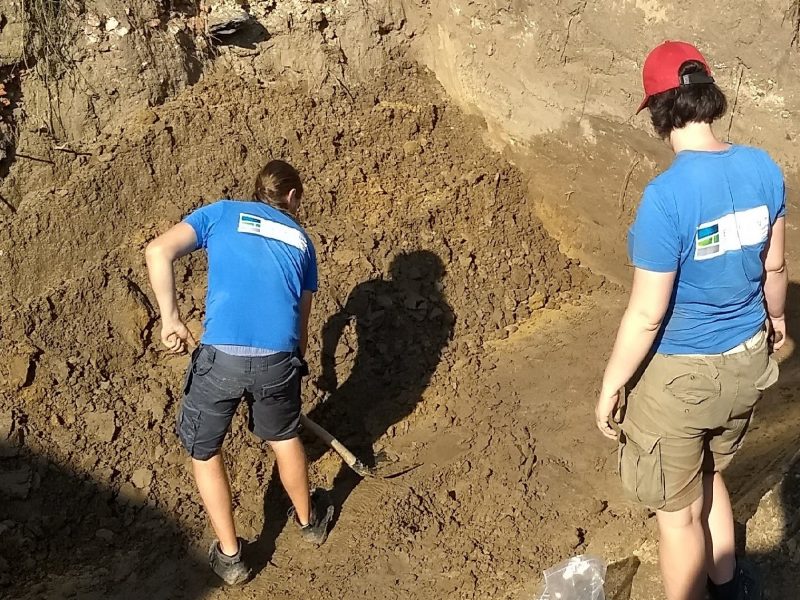 Archeologische opgraving Markt Hamme
